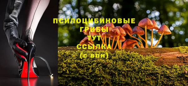 соль ск Балабаново