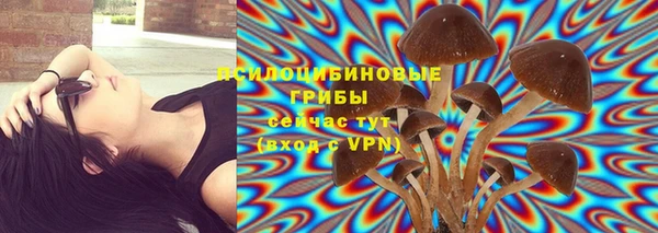 не бодяженный Балахна