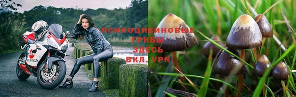 не бодяженный Балахна