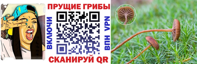 Купить закладки  Аша  Псилоцибиновые грибы ЛСД 